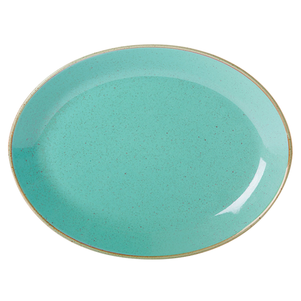 Seasons Sea Spray Oval Plate 30cm/12" 112131SS Pack Size 6