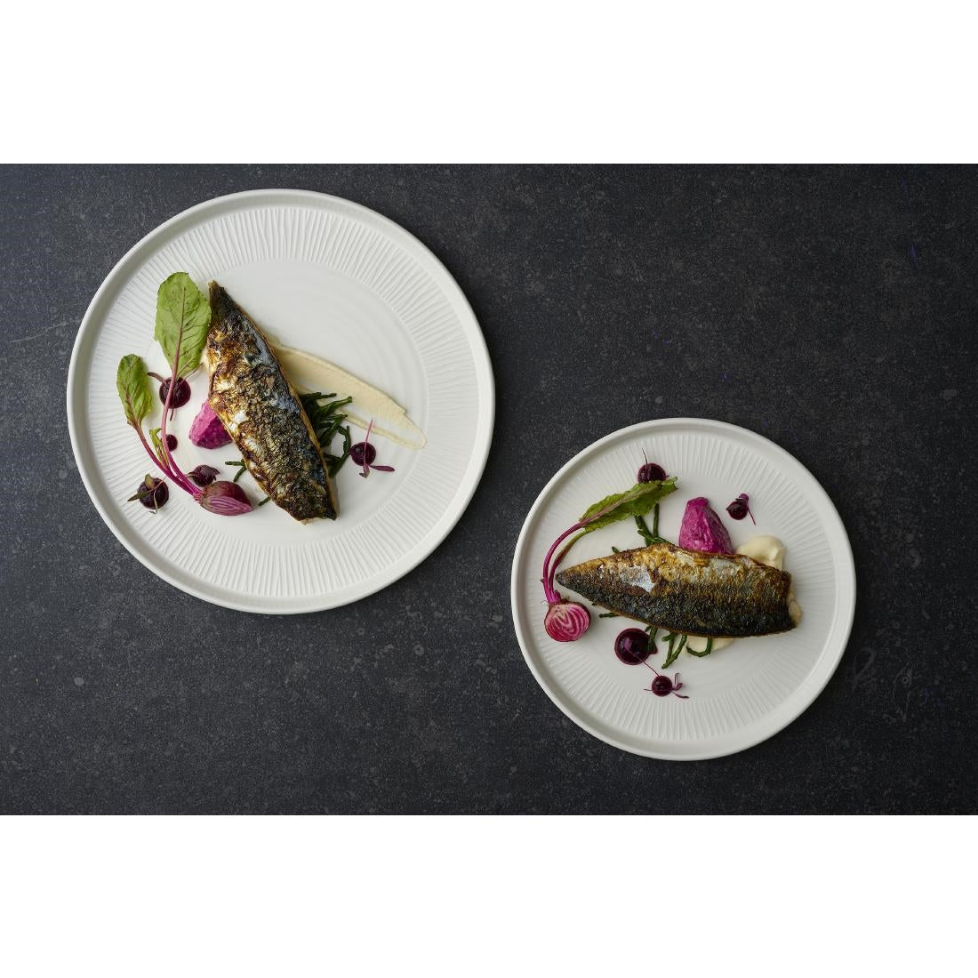 DX127 Churchill Bamboo White Walled Plate 260mm (Pack of 6)