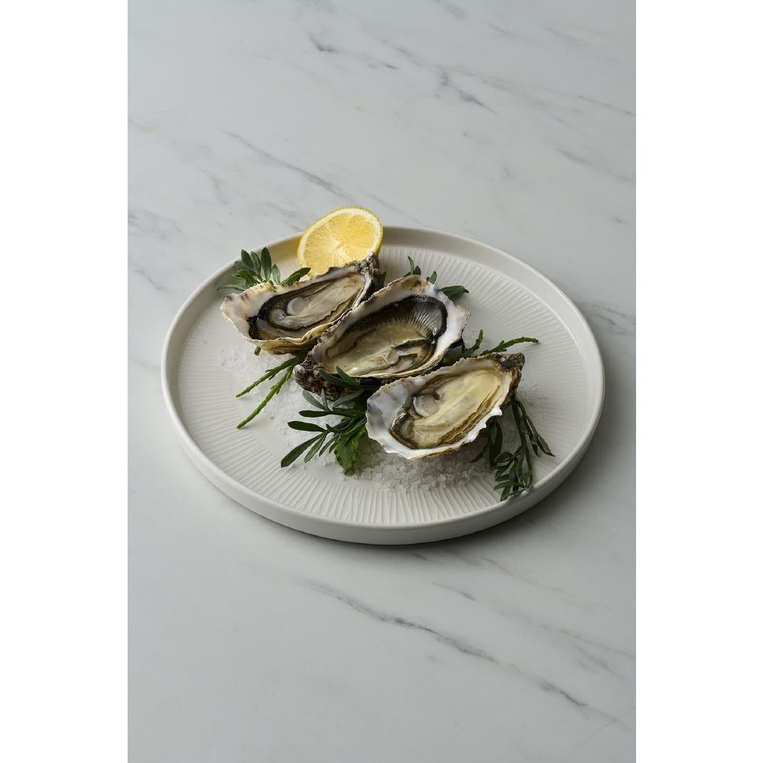 DX127 Churchill Bamboo White Walled Plate 260mm (Pack of 6)