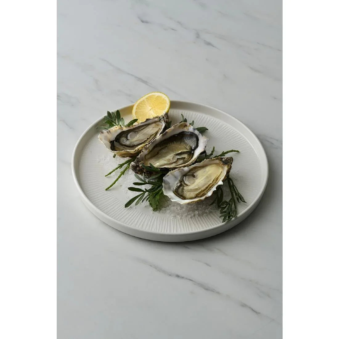 DX127 Churchill Bamboo White Walled Plate 260mm (Pack of 6) - JD Catering Equipment Solutions Ltd