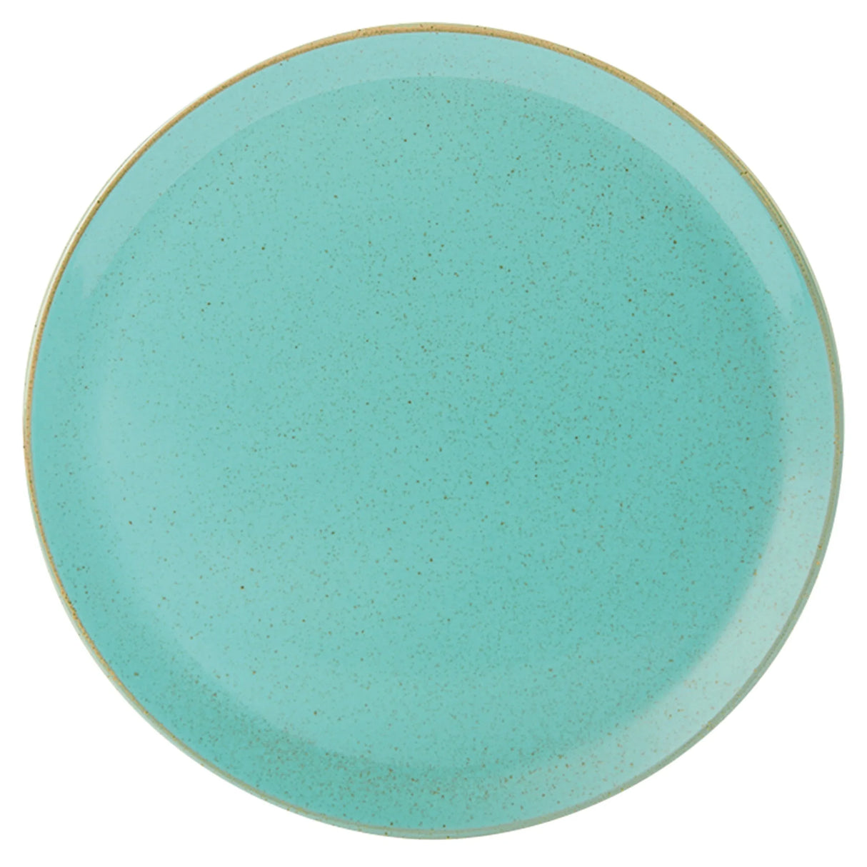 Seasons Sea Spray Pizza Plate 28cm 162928SS Pack Size 6 - JD Catering Equipment Solutions Ltd
