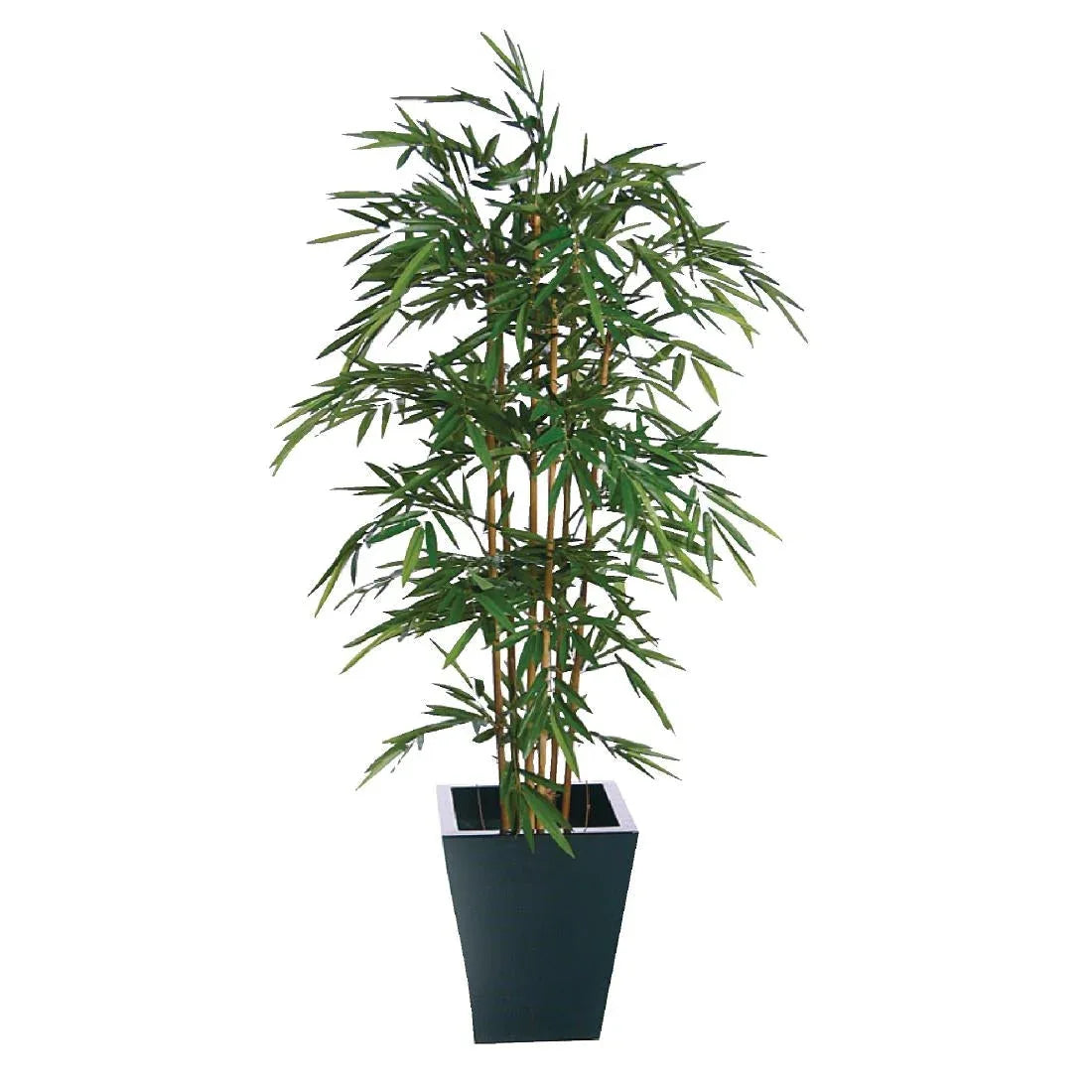 CC575 Natural Bamboo 1500mm - JD Catering Equipment Solutions Ltd