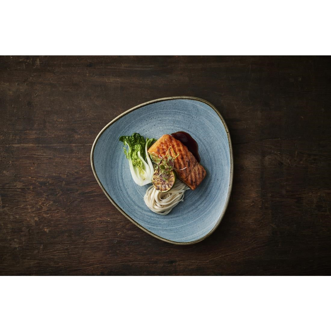 CX665 Churchill Stonecast Raw Lotus Plates Teal 228mm (Pack of 12) JD Catering Equipment Solutions Ltd