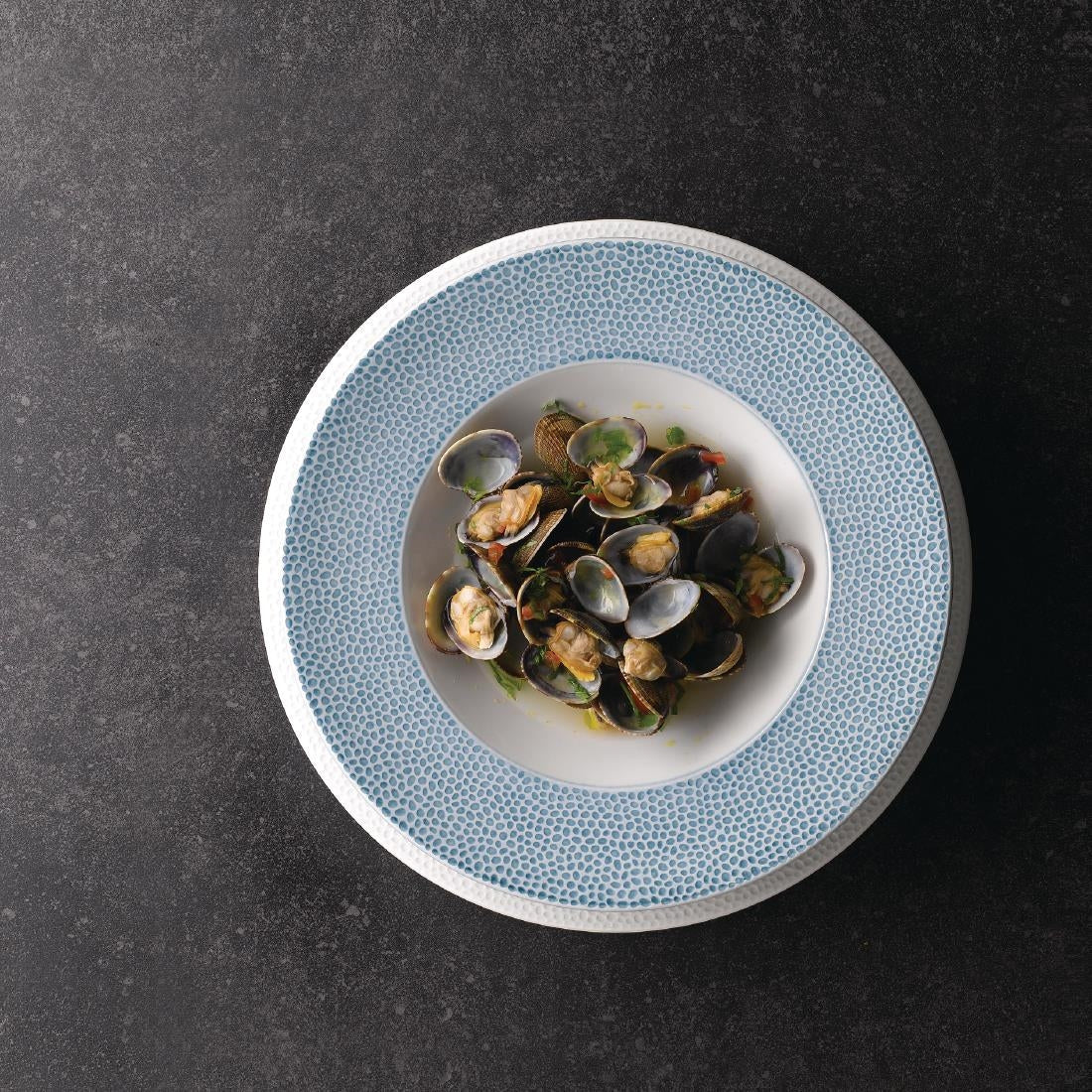 Churchill Isla Wide Rim Bowl Ocean Blue 280mm (Pack of 12) JD Catering Equipment Solutions Ltd