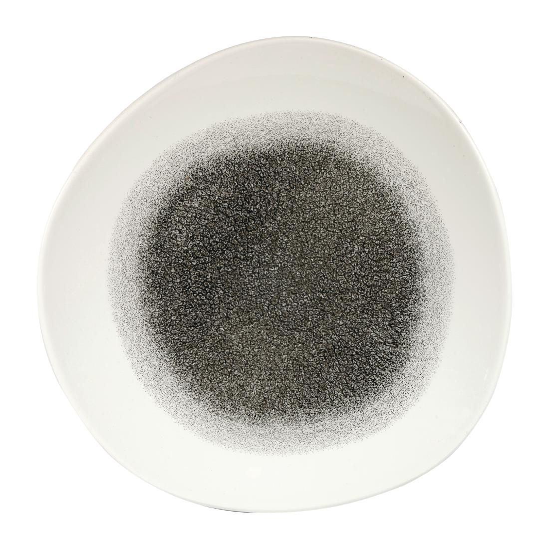 DY216 Churchill Studio Prints Raku Round Trace Plates Quartz Black 286mm (Pack of 12) - JD Catering Equipment Solutions Ltd