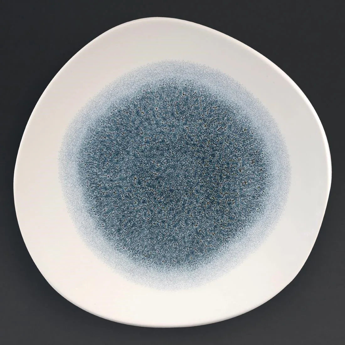 DC731 Churchill Studio Prints Raku Round Trace Plates Topaz Blue 264mm (Pack of 12) - JD Catering Equipment Solutions Ltd