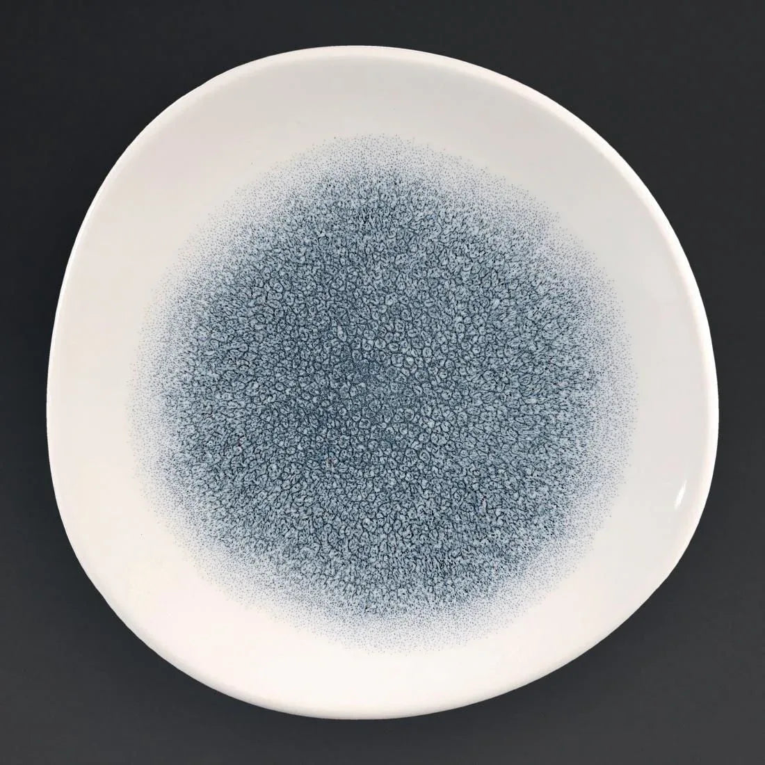 DC732 Churchill Studio Prints Raku Round Trace Plates Topaz Blue 210mm (Pack of 12) - JD Catering Equipment Solutions Ltd