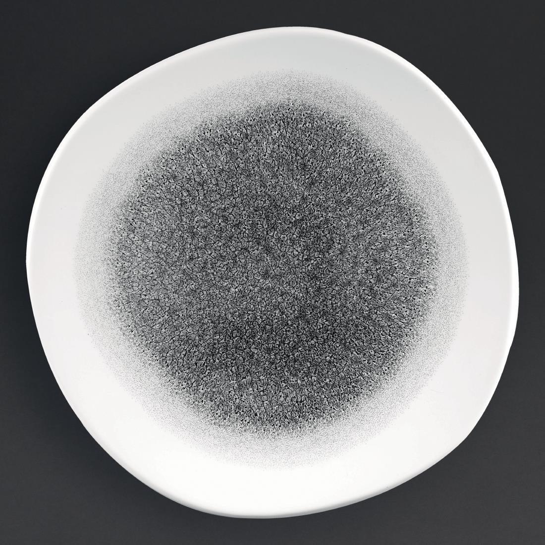 DC735 Churchill Studio Prints Raku Round Trace Plates Quartz Black 264mm (Pack of 12) - JD Catering Equipment Solutions Ltd