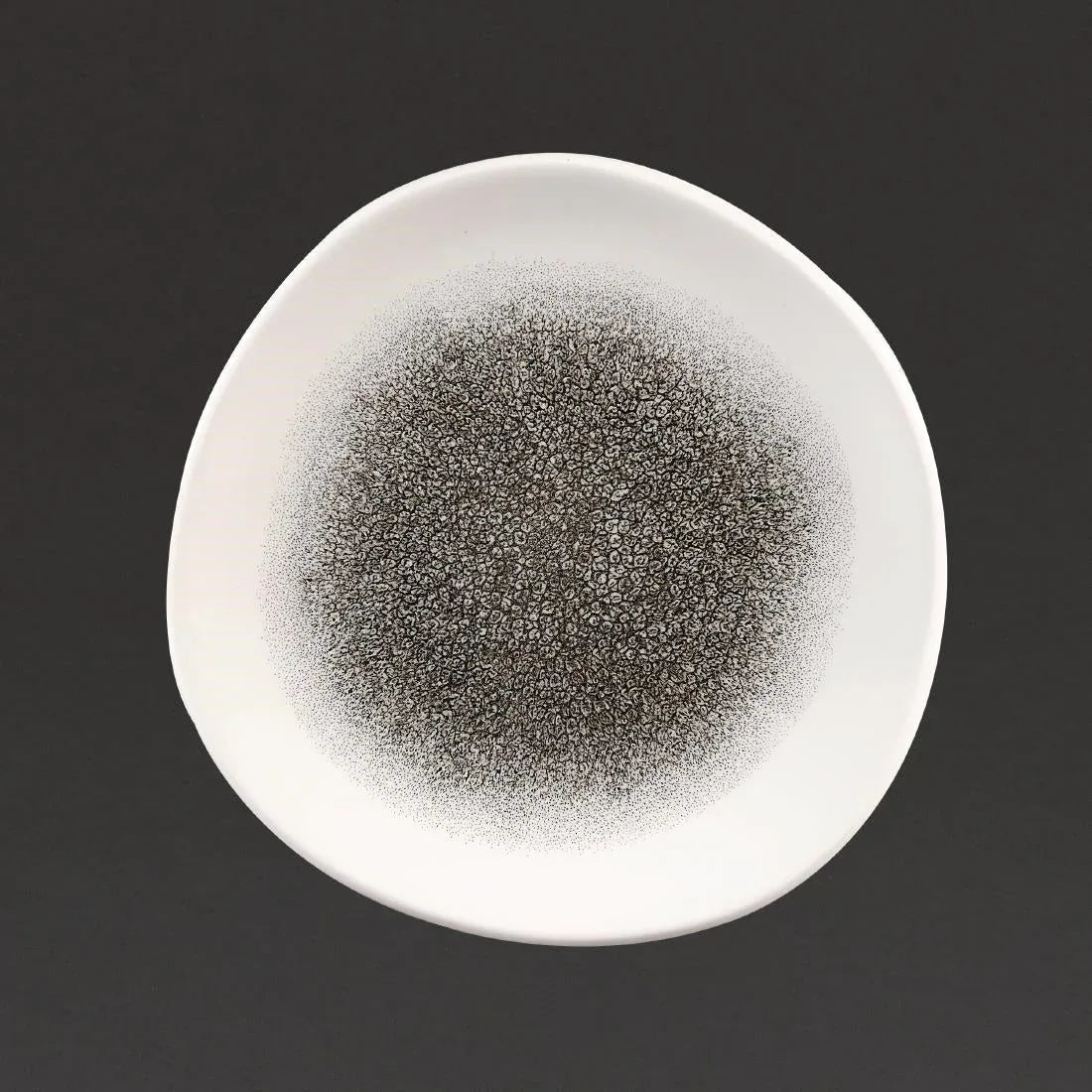 DC736 Churchill Studio Prints Raku Round Trace Plates Quartz Black 210mm (Pack of 12) - JD Catering Equipment Solutions Ltd