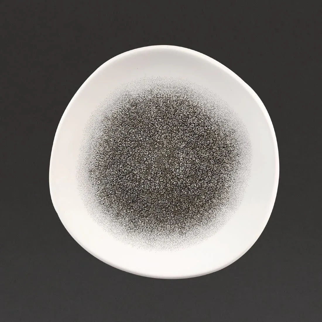 DC736 Churchill Studio Prints Raku Round Trace Plates Quartz Black 210mm (Pack of 12) - JD Catering Equipment Solutions Ltd