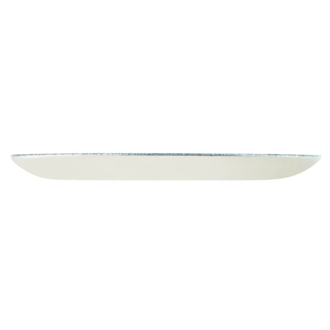 DE883 Churchill Studio Prints Raku Round Coupe Plate Topaz Blue 260mm (Pack of 12) - JD Catering Equipment Solutions Ltd