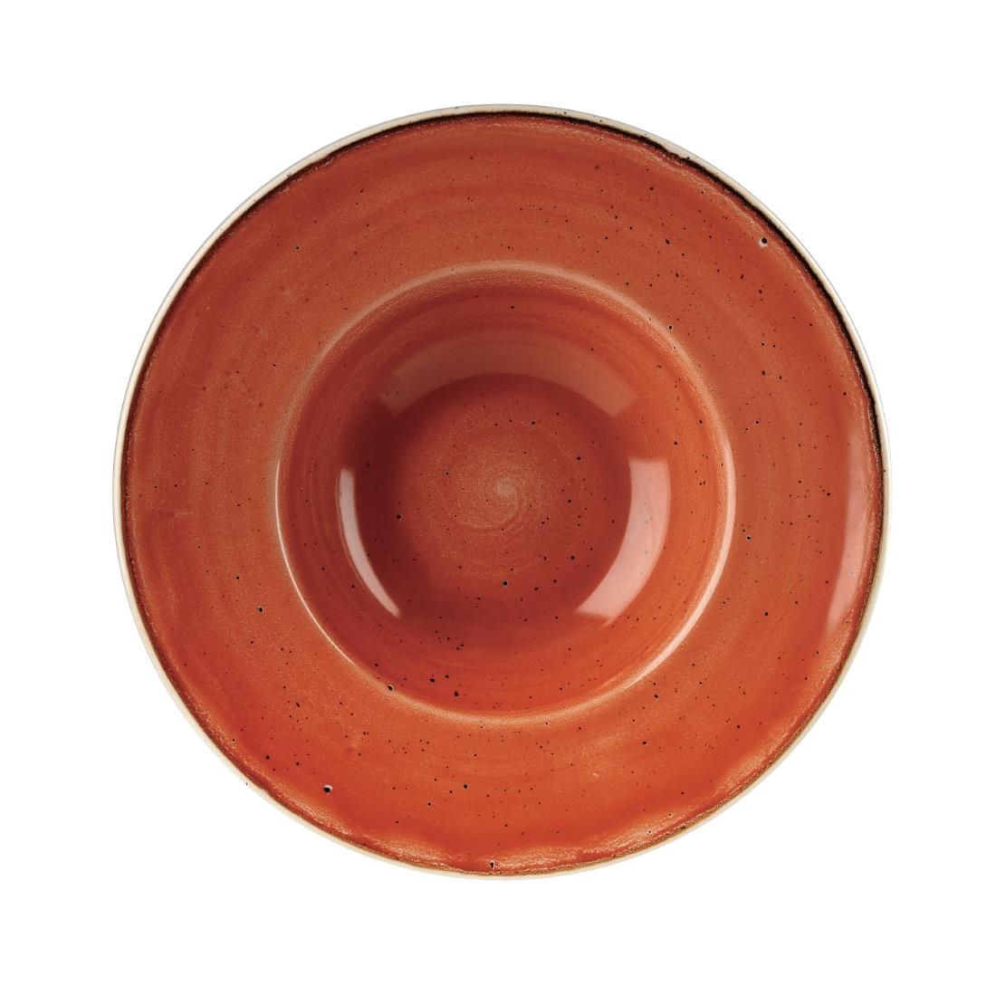 DF795 Churchill Stonecast Round Wide Rim Bowl Spiced Orange 239mm (Pack of 12) JD Catering Equipment Solutions Ltd