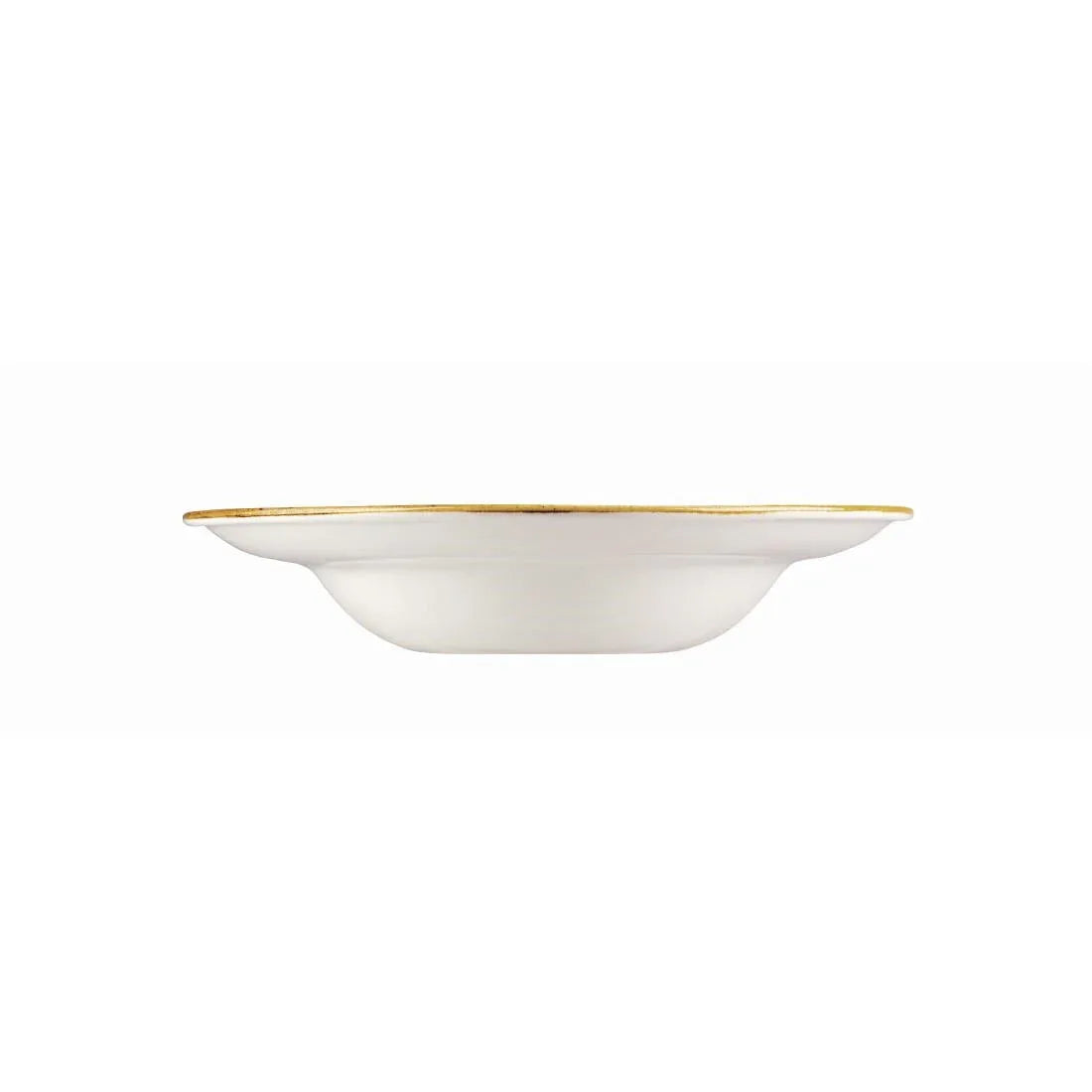 DF800 Churchill Stonecast Round Wide Rim Bowl Duck Egg Blue 280mm (Pack of 12) - JD Catering Equipment Solutions Ltd