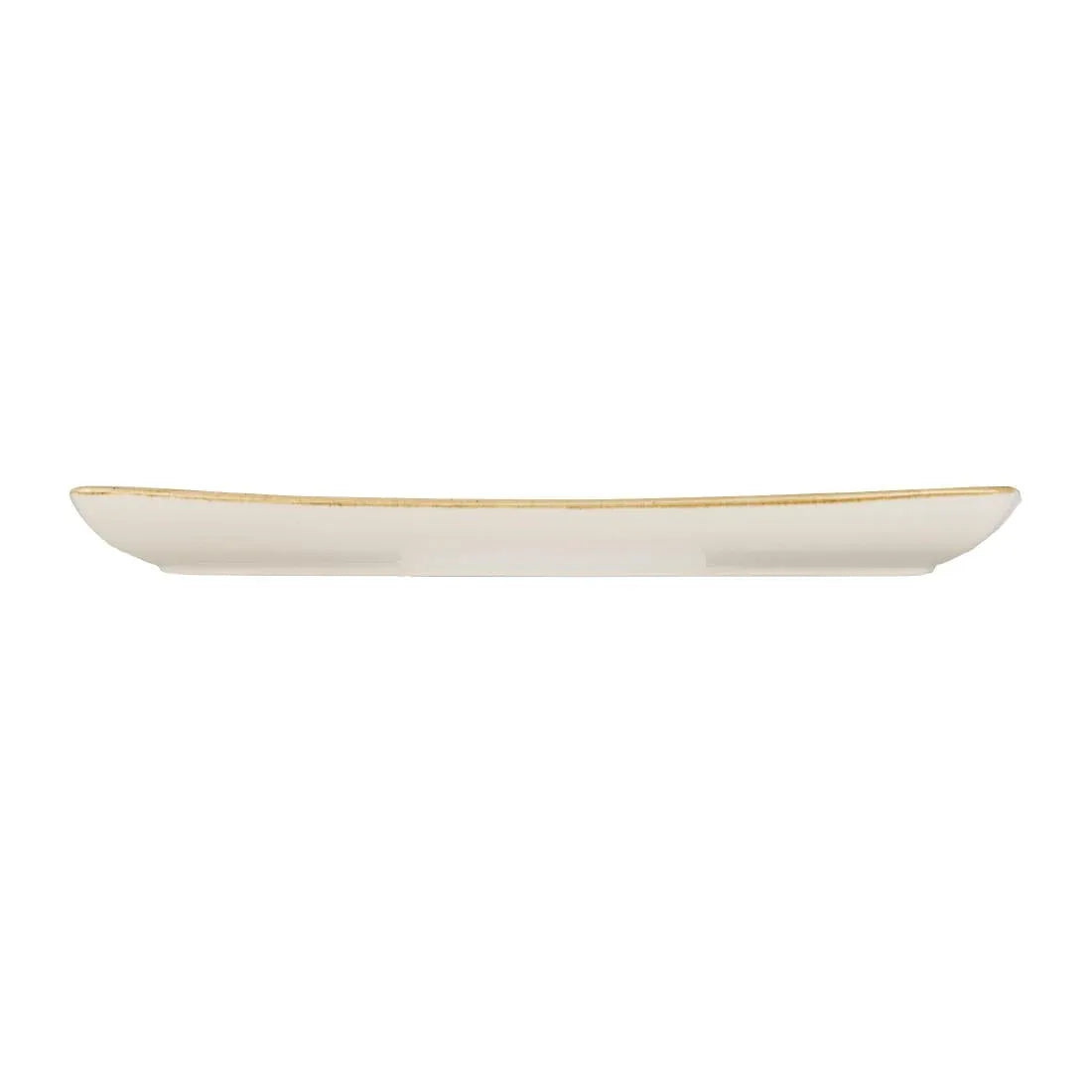 DK545 Churchill Stonecast Rectangular Plate Spiced Orange 295 x 150mm - JD Catering Equipment Solutions Ltd