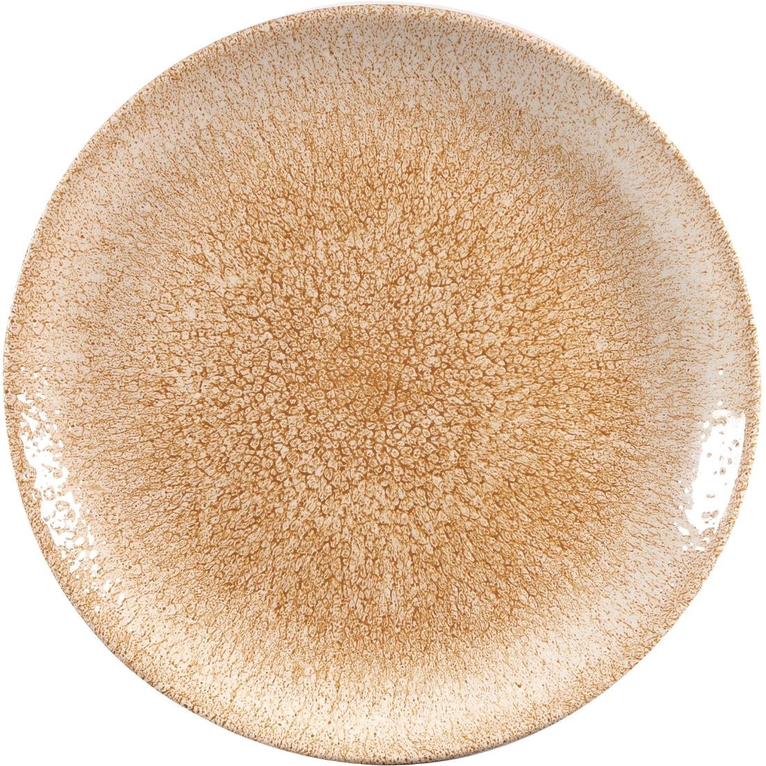 DR701 Churchill Studio Prints Raku Coupe Plate Garnet Orange 260mm (Pack of 12) JD Catering Equipment Solutions Ltd