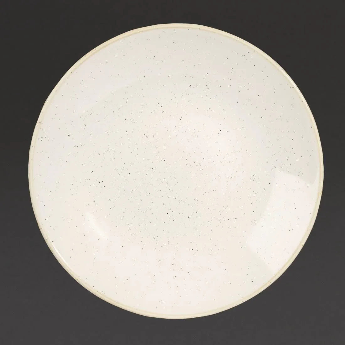 DS498 Churchill Stonecast Deep Coupe Plates Barley White 240mm (Pack of 12) - JD Catering Equipment Solutions Ltd
