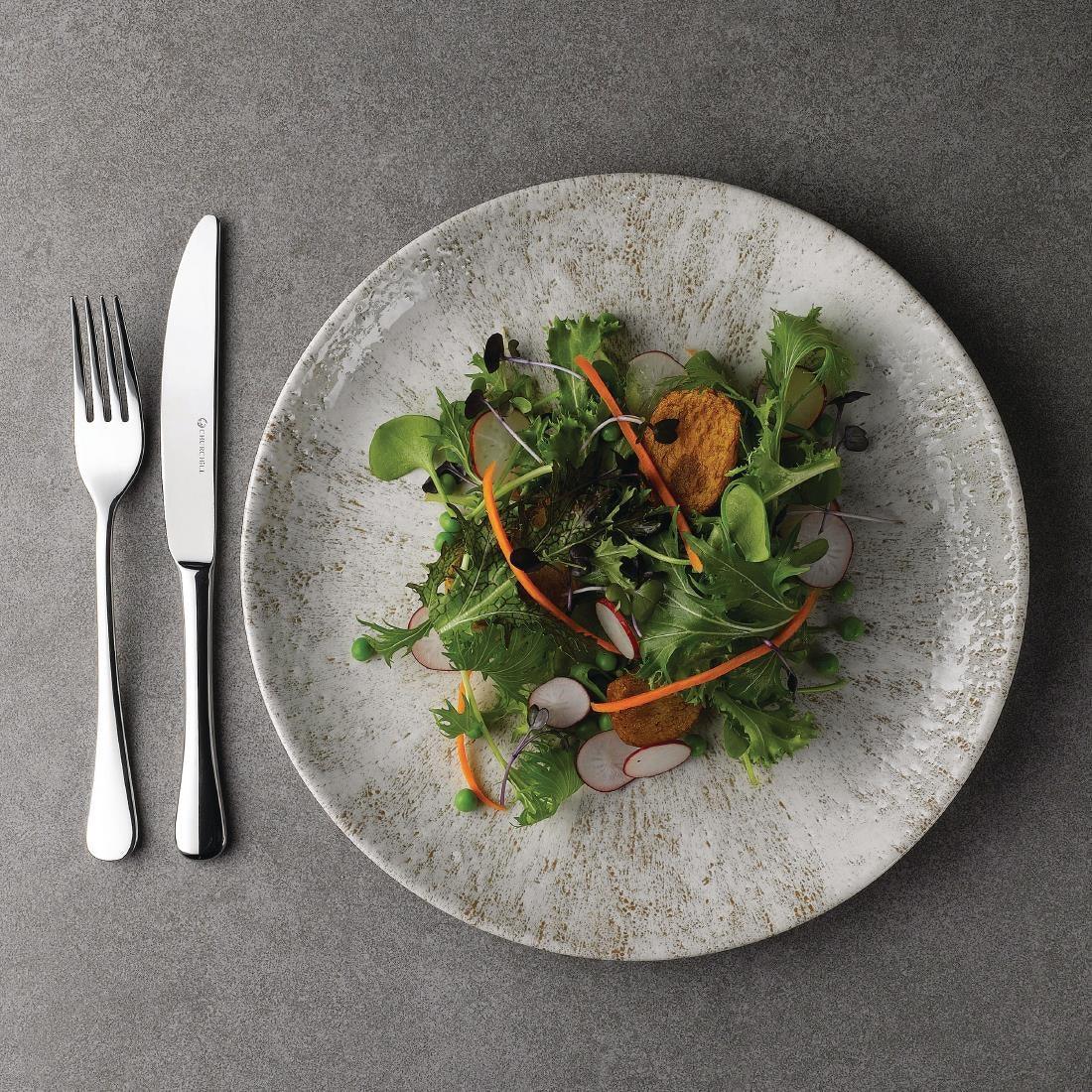 FA786 Churchill Tanner Table Knives (Pack of 12) - JD Catering Equipment Solutions Ltd
