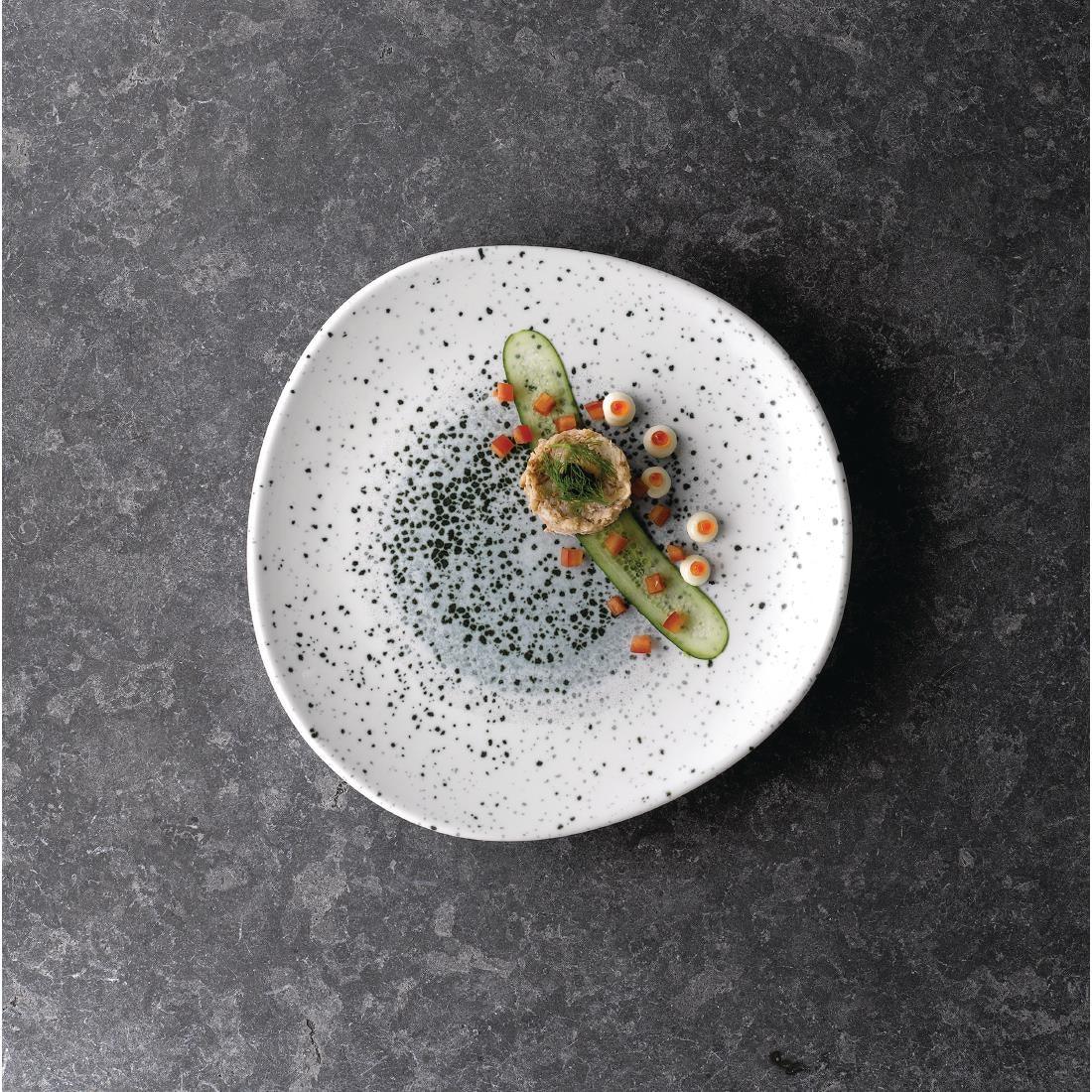 FC127 Churchill Studio Prints Mineral Blue Centre Organic Round Plates 210mm (Pack of 12) - JD Catering Equipment Solutions Ltd
