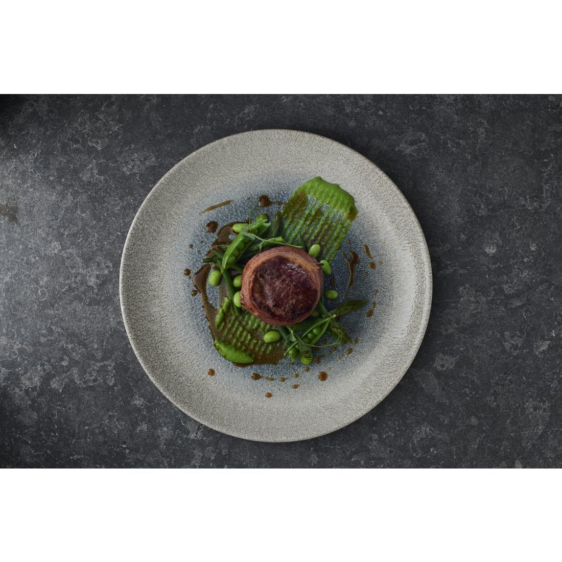FS917 Churchill Raku Duo Agate Evolve Coupe Plate Topaz 260mm (Pack of 12) - JD Catering Equipment Solutions Ltd