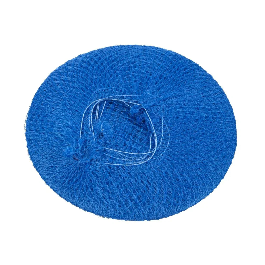 A291 Lion Haircare Hair Net Light Blue (Pack of 50) - JD Catering Equipment Solutions Ltd