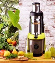 CN990 Santos Cold Press Juicer 65A