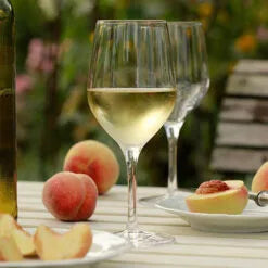 Stolze Ultra Champagne Flute 185ml / 6.5oz G376/07 Pack Size x6