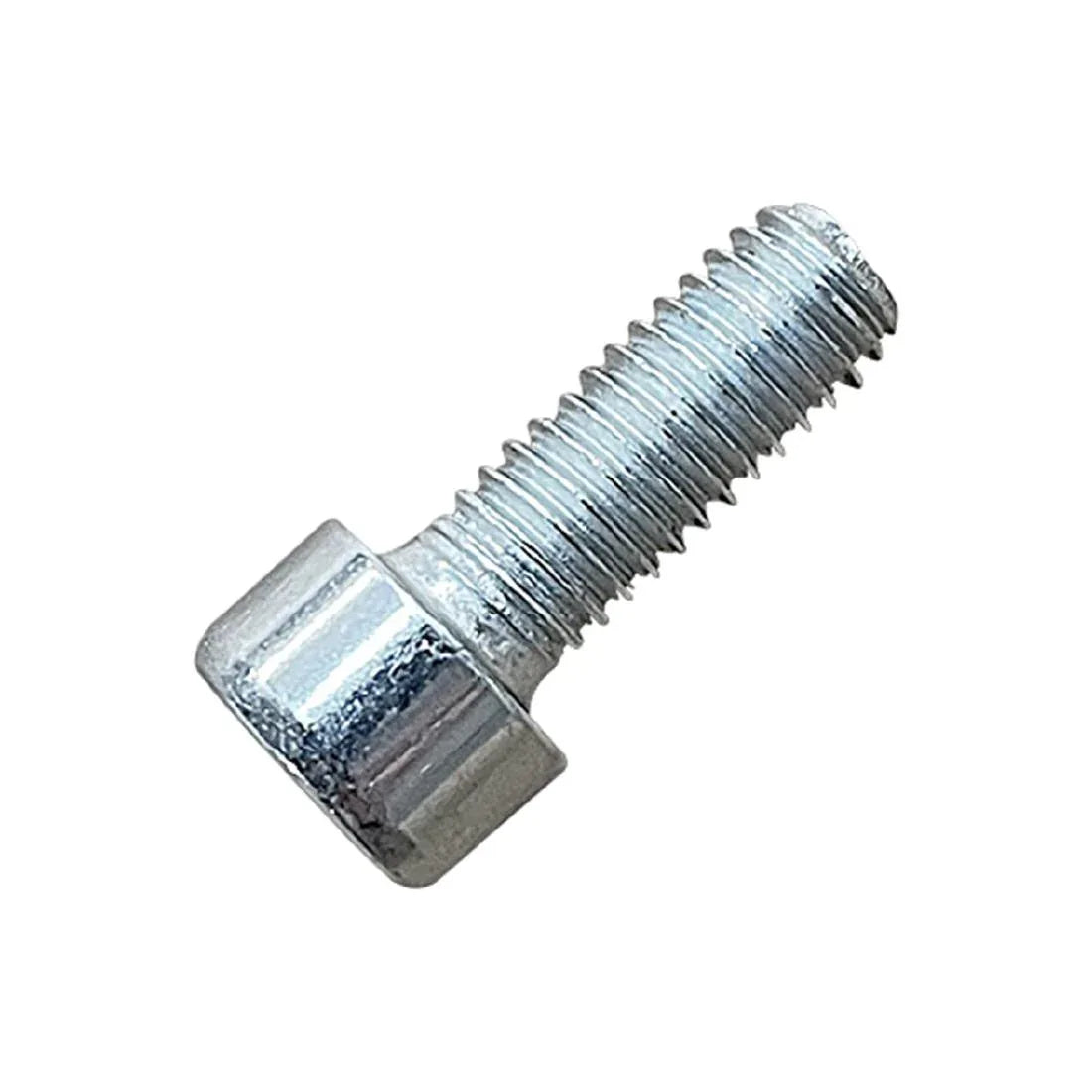 AS099 Buffalo Nut