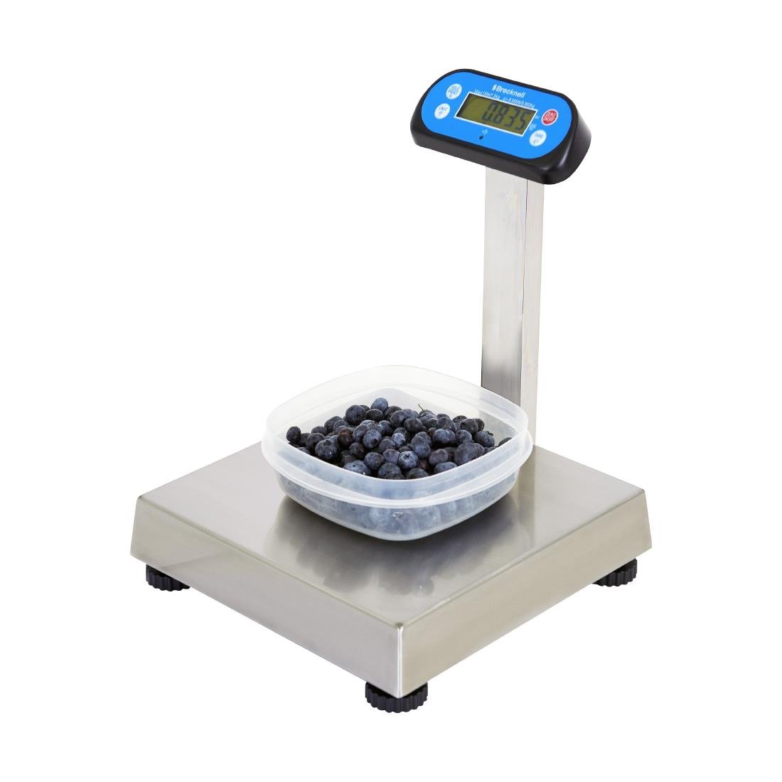 DP049 Brecknell 6700U Series POS Scale 6kg