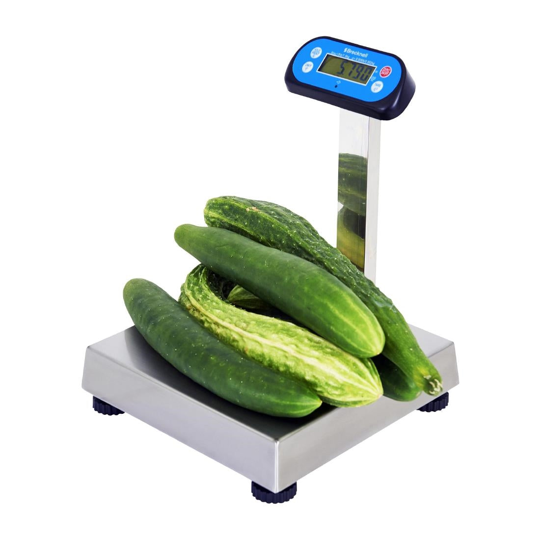 DP048 Brecknell 6700U Series POS Scale 3kg