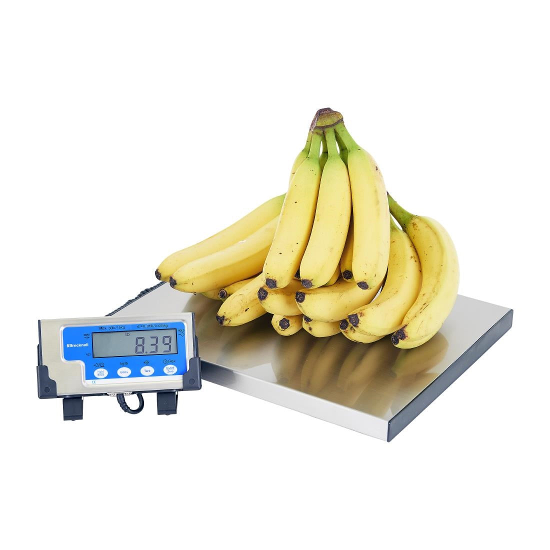 DP050 Brecknell WS15 Portable Bench Scale 15kg