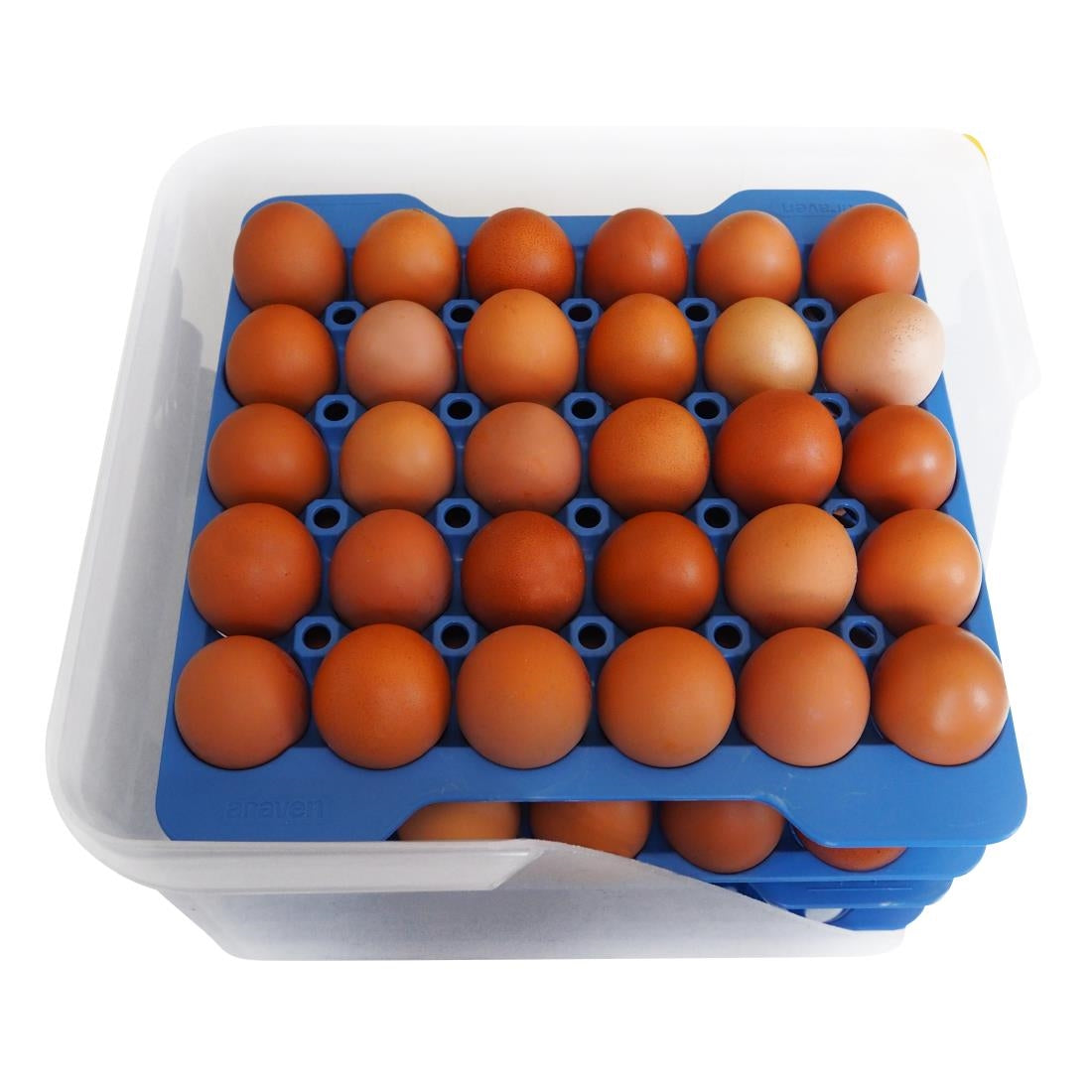 DP209 Araven Airtight Container with 4 Egg Trays GN 2/3 200mm
