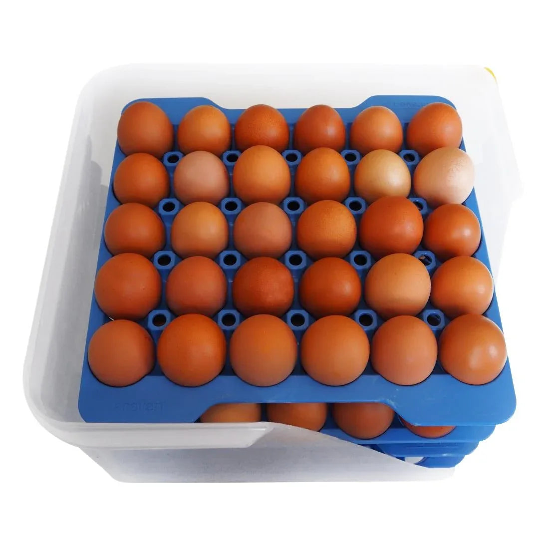 DP209 Araven Airtight Container with 4 Egg Trays GN 2/3 200mm