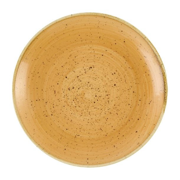 DX776 Churchill Stonecast Tangerine Coupe Bowl 248mm (Pack of 12)