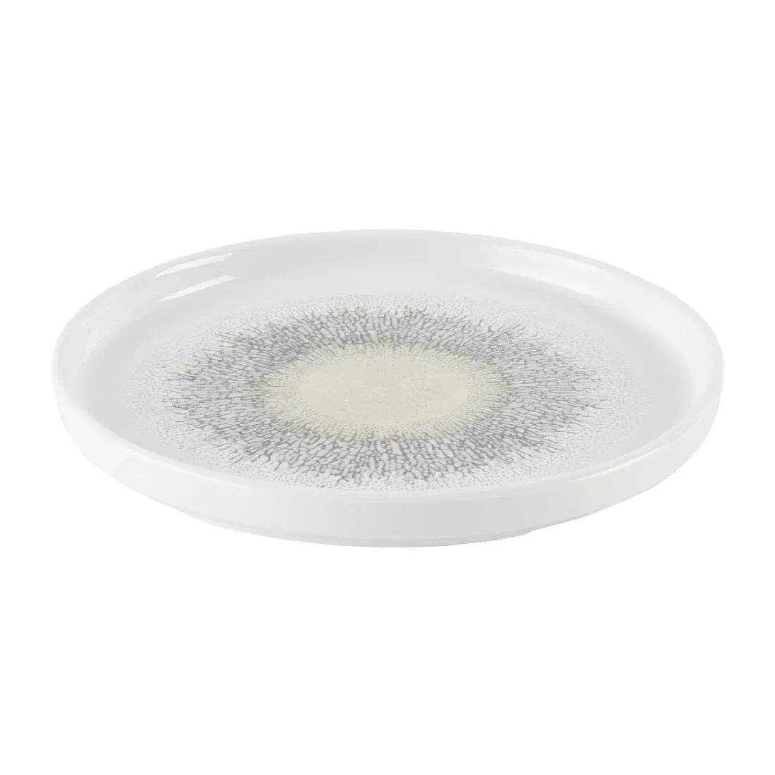 DX830 Churchill Studio Prints Fusion Agate Grey Chefs' Walled Plate 260mm (Pack of 6) - JD Catering Equipment Solutions Ltd
