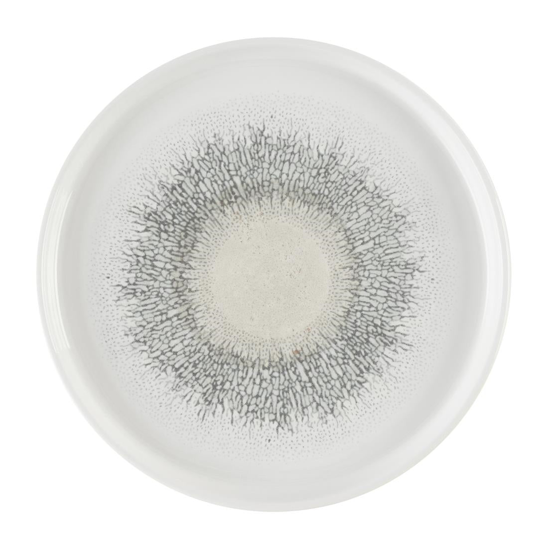 DX830 Churchill Studio Prints Fusion Agate Grey Chefs' Walled Plate 260mm (Pack of 6)