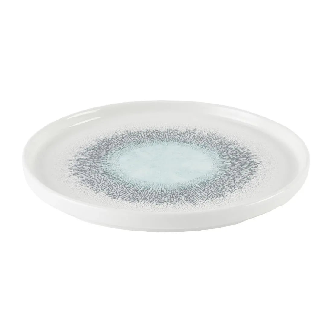 DX832 Churchill Studio Prints Fusion Aquamarine Chefs' Walled Plate 260mm (Pack of 6) - JD Catering Equipment Solutions Ltd