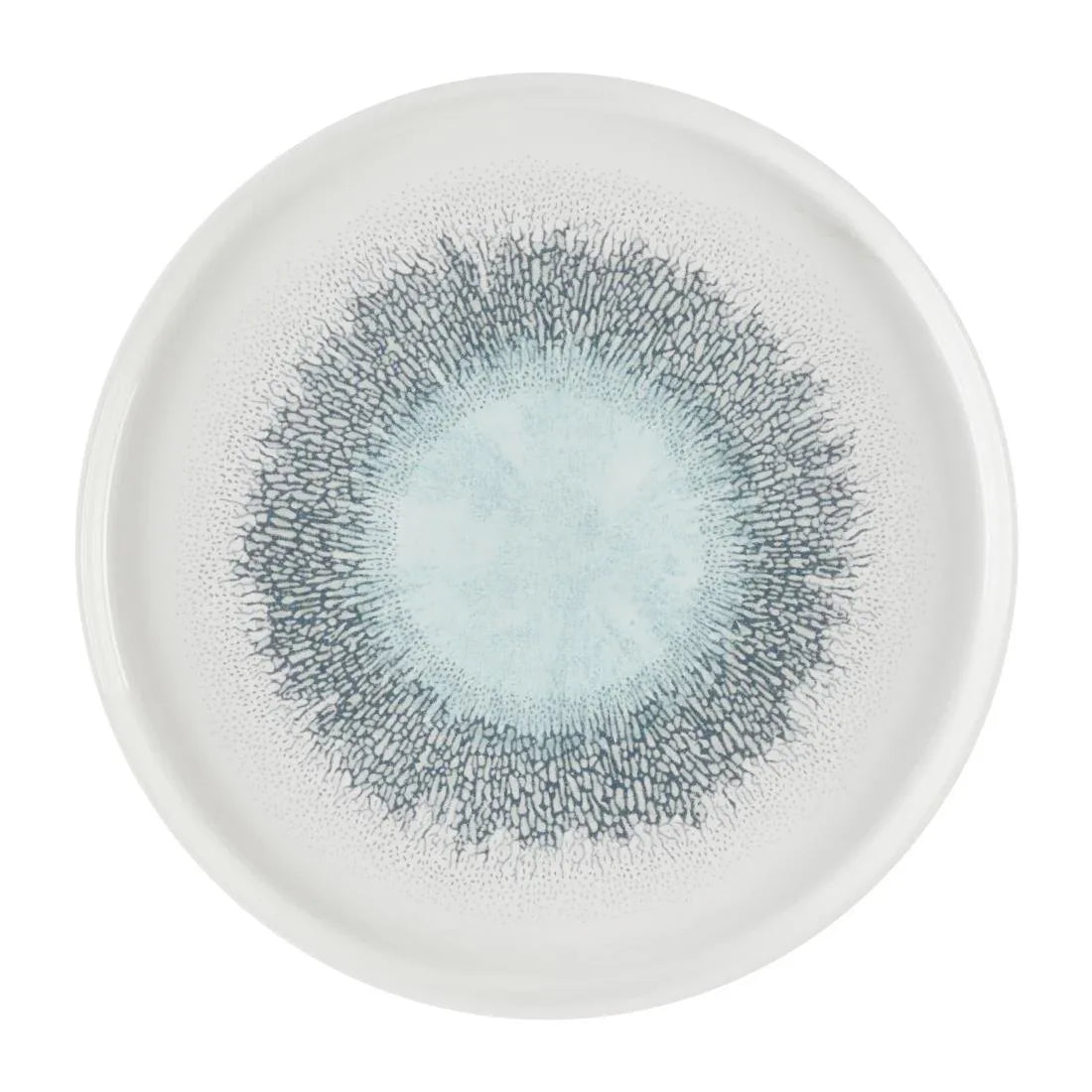 DX832 Churchill Studio Prints Fusion Aquamarine Chefs' Walled Plate 260mm (Pack of 6) - JD Catering Equipment Solutions Ltd