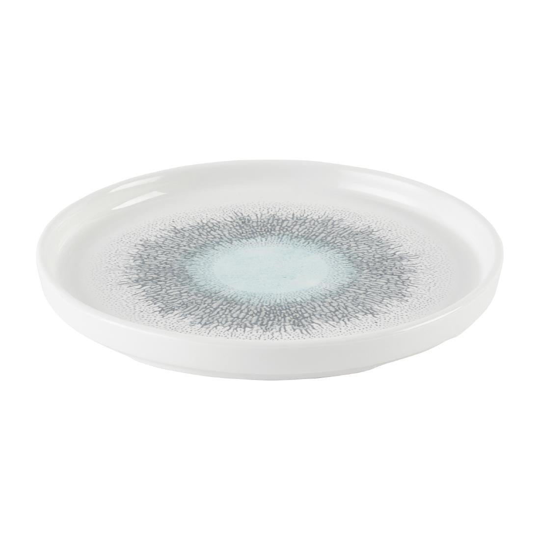 DX833 Churchill Studio Prints Fusion Aquamarine Chefs' Walled Plate 210mm (Pack of 6)