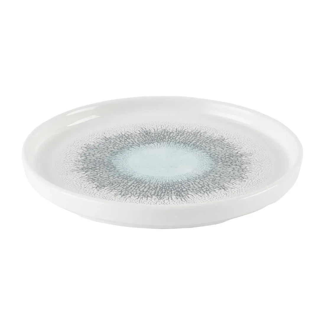 DX833 Churchill Studio Prints Fusion Aquamarine Chefs' Walled Plate 210mm (Pack of 6) - JD Catering Equipment Solutions Ltd