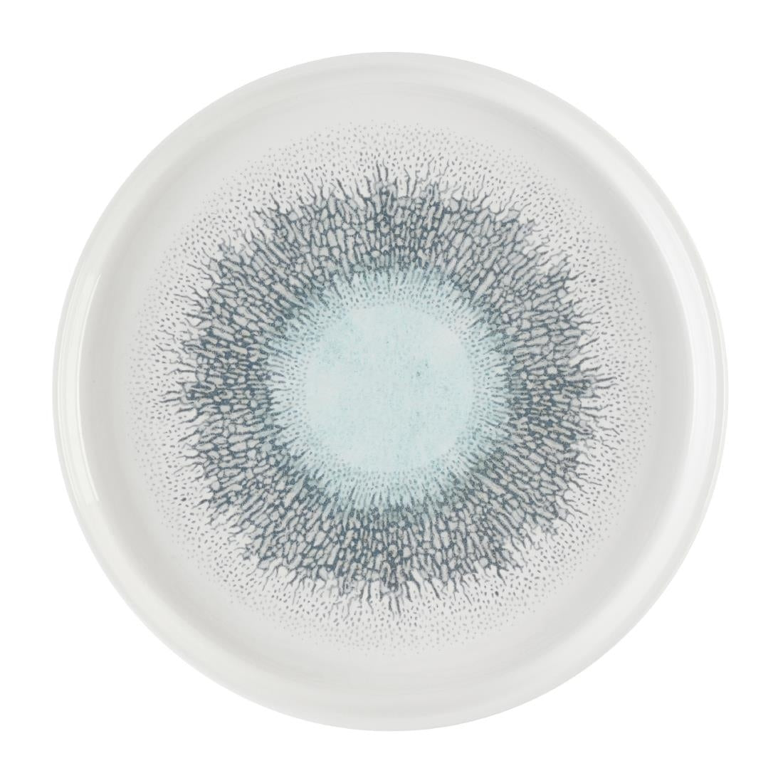 DX833 Churchill Studio Prints Fusion Aquamarine Chefs' Walled Plate 210mm (Pack of 6)