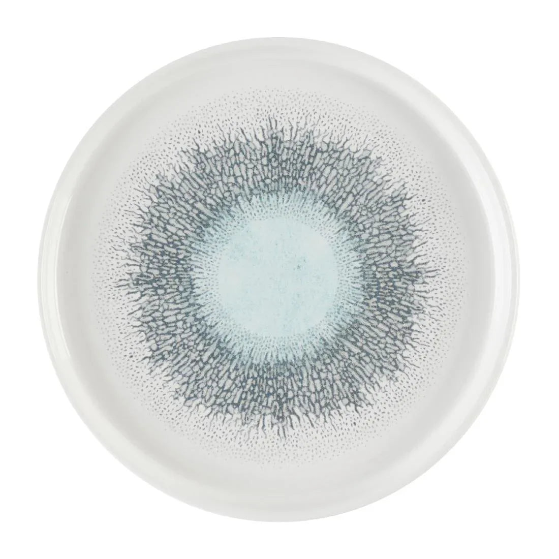 DX833 Churchill Studio Prints Fusion Aquamarine Chefs' Walled Plate 210mm (Pack of 6) - JD Catering Equipment Solutions Ltd