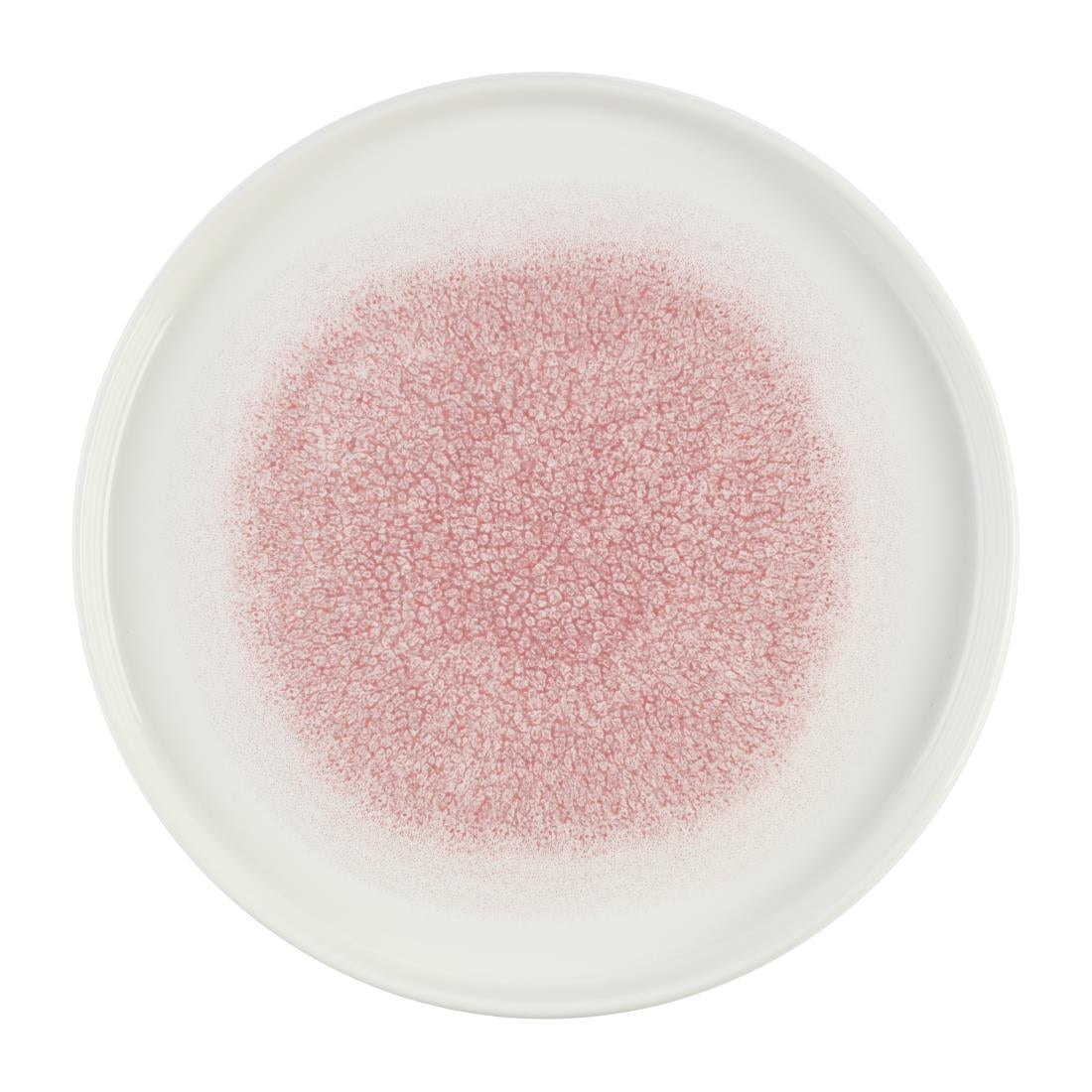DX844 Churchill Studio Prints Raku Rose Quartz Pink Chefs' Walled Plate 260mm (Pack of 6)