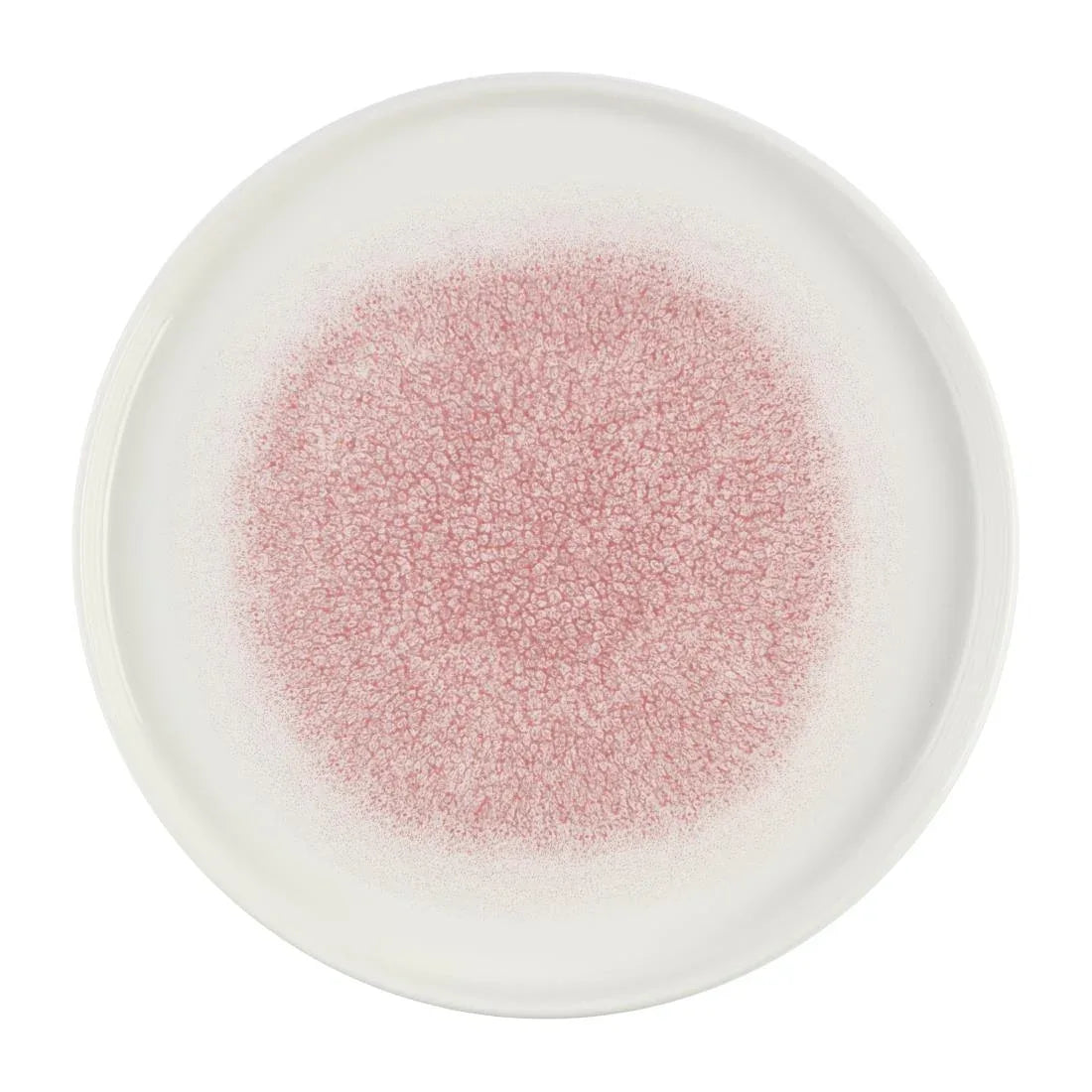 DX844 Churchill Studio Prints Raku Rose Quartz Pink Chefs' Walled Plate 260mm (Pack of 6) - JD Catering Equipment Solutions Ltd