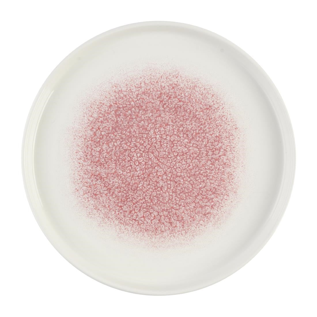 DX845 Churchill Studio Prints Raku Rose Quartz Pink Chefs' Walled Plate 210mm (Pack of 6)