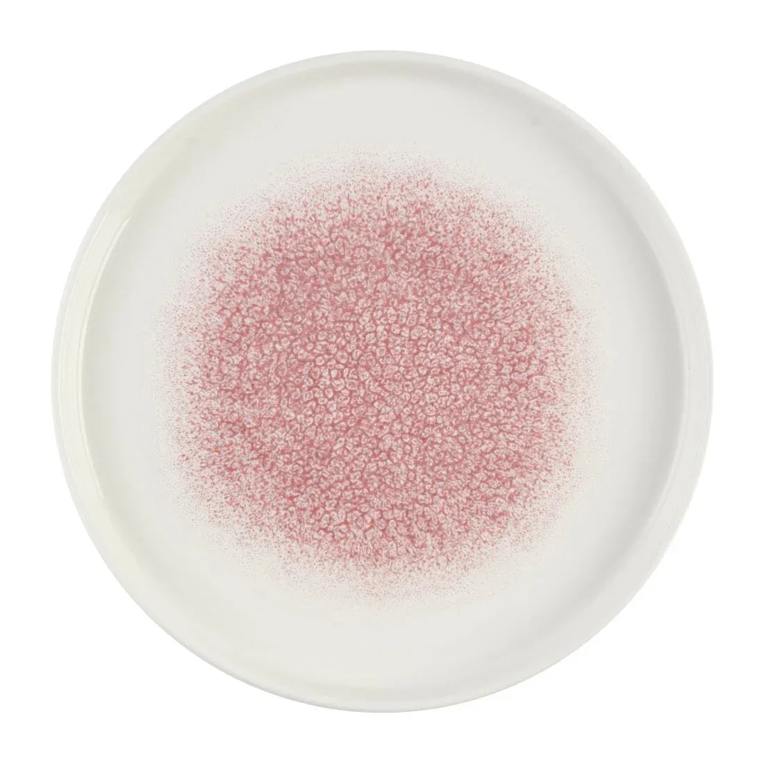 DX845 Churchill Studio Prints Raku Rose Quartz Pink Chefs' Walled Plate 210mm (Pack of 6) - JD Catering Equipment Solutions Ltd