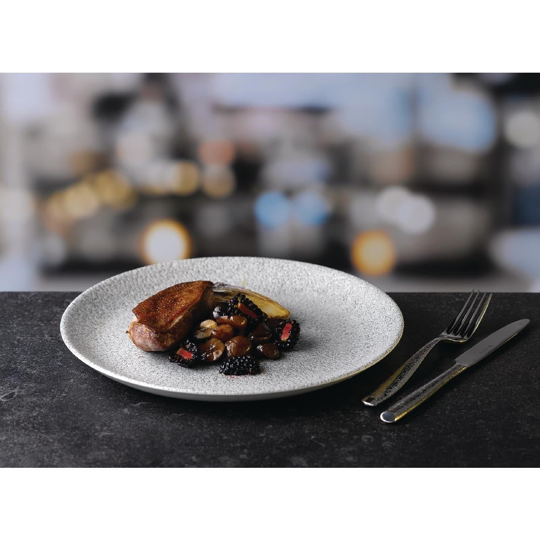 FD880 Churchill Raku Jasper Grey Evolve Coupe Plate 8.67" (Box 12) (Direct)