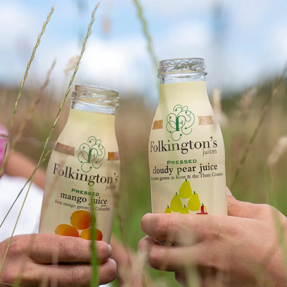 FU463 Folkington's Juices Mango Glass Bottle 250ml (Pack of 12) - JD Catering Equipment Solutions Ltd