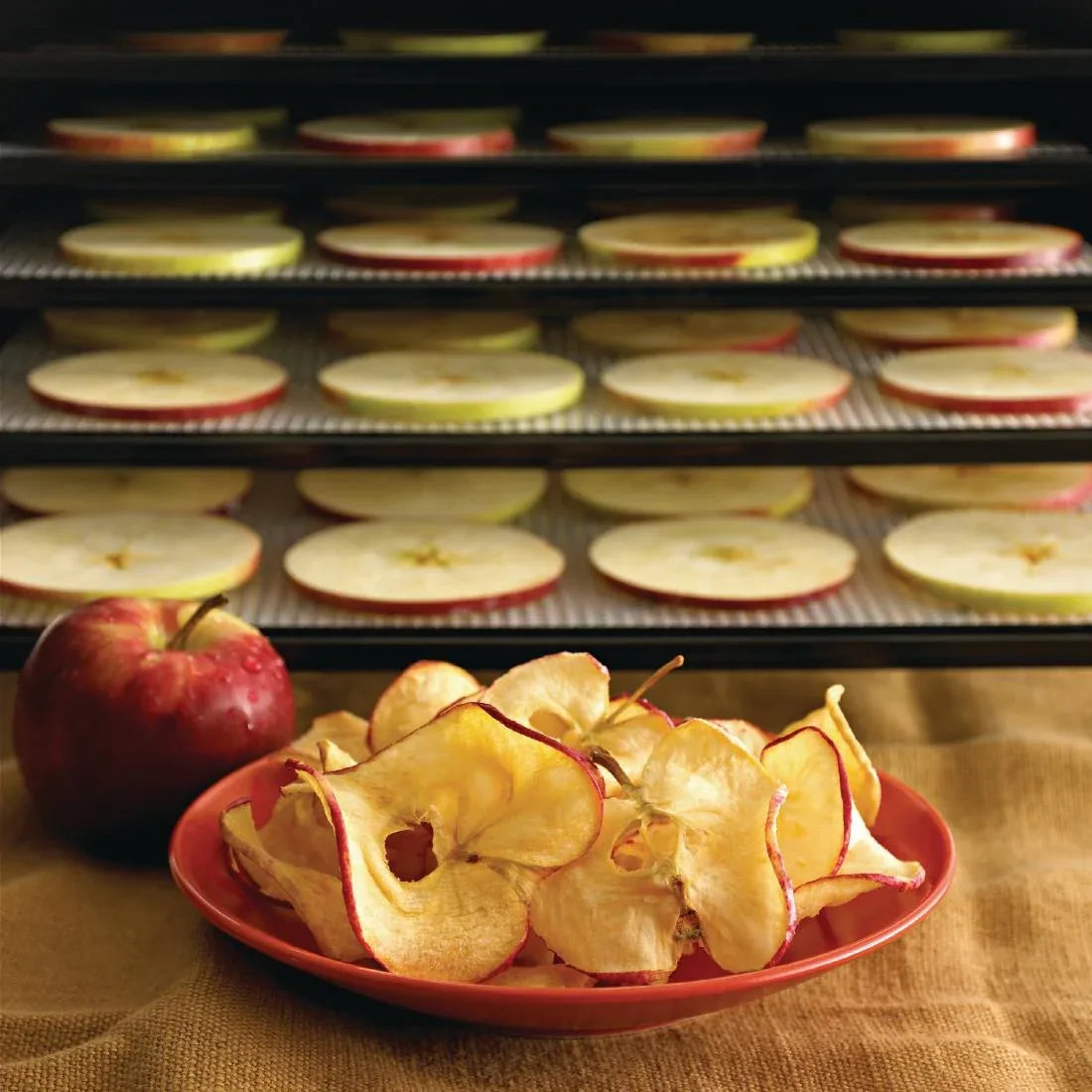 GL373 Excalibur 9 Tray Black Dehydrator with Timer 4926TB - JD Catering Equipment Solutions Ltd