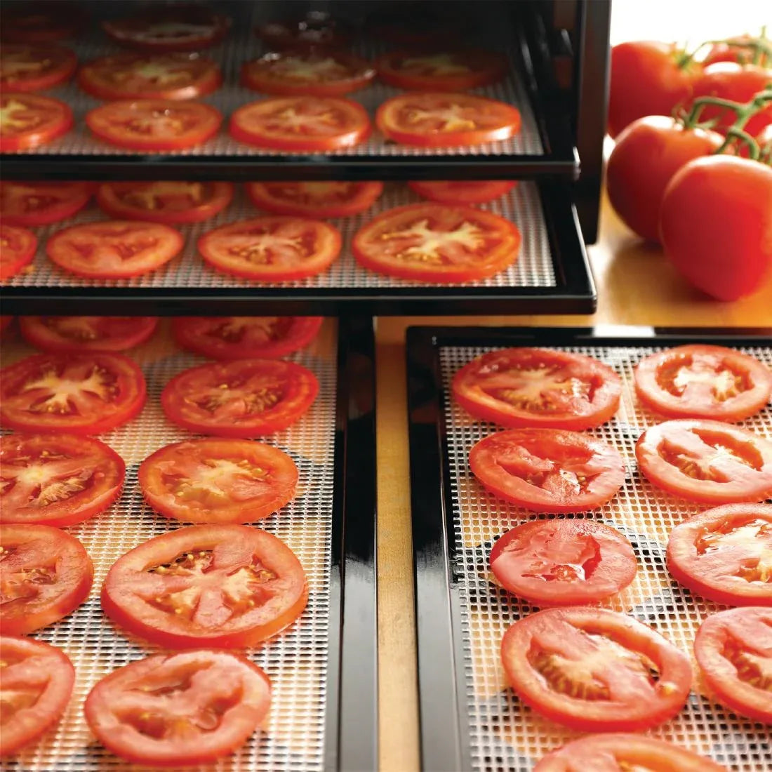 GL373 Excalibur 9 Tray Black Dehydrator with Timer 4926TB - JD Catering Equipment Solutions Ltd