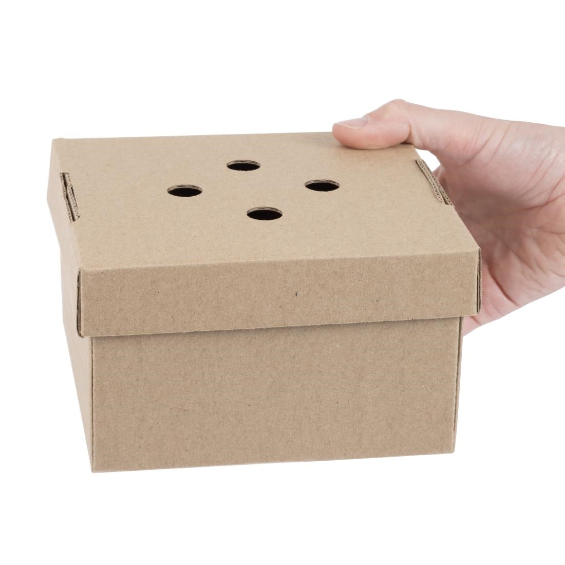 HP942 Fiesta Compostable Fold-Out Burger Boxes (100 Pack)